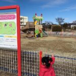 Thumbnail of related posts 121